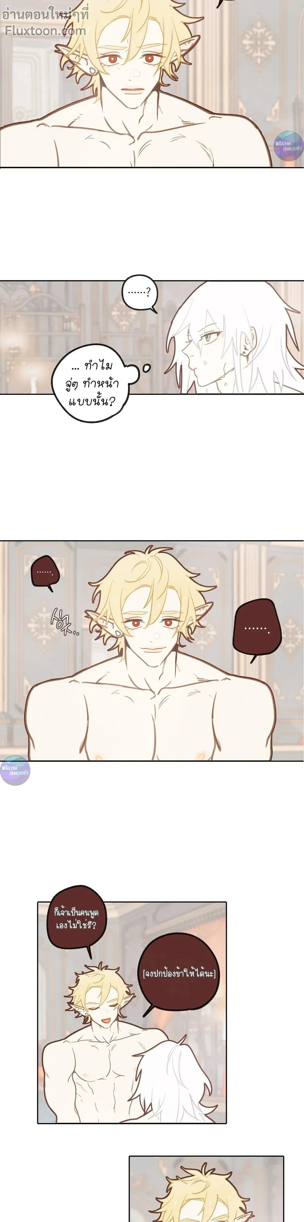 หน้าที่ 13