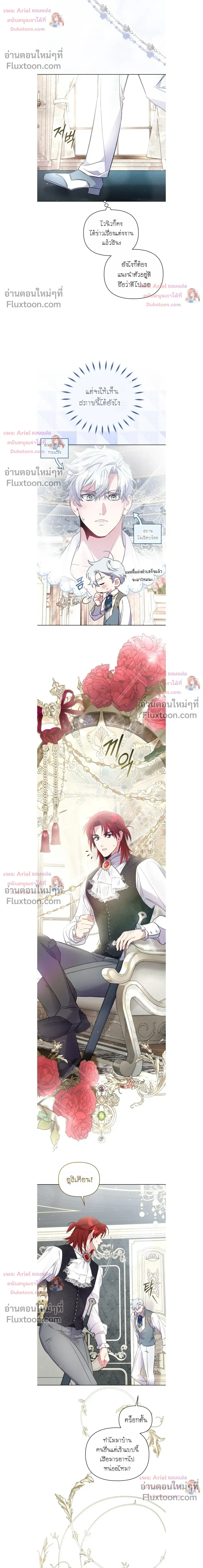 หน้าที่ 17