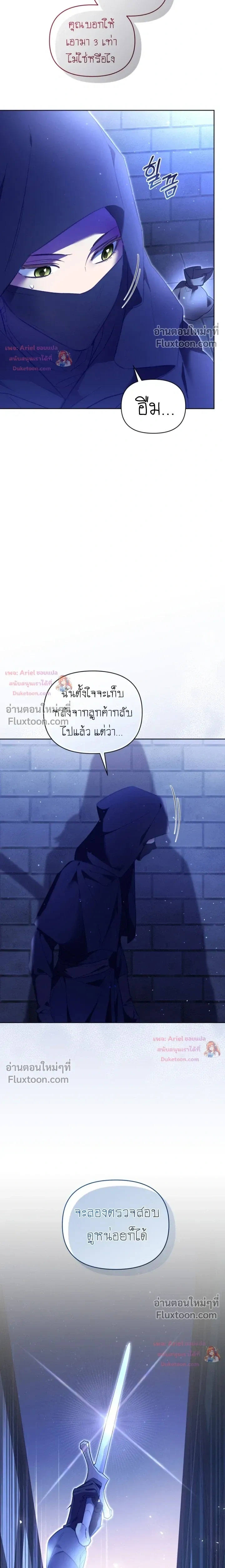 หน้าที่ 13