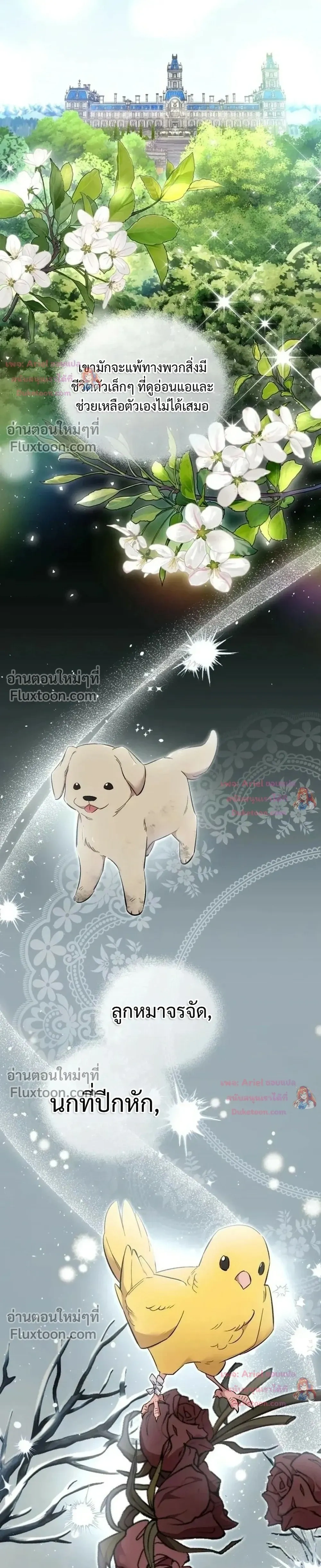 หน้าที่ 5