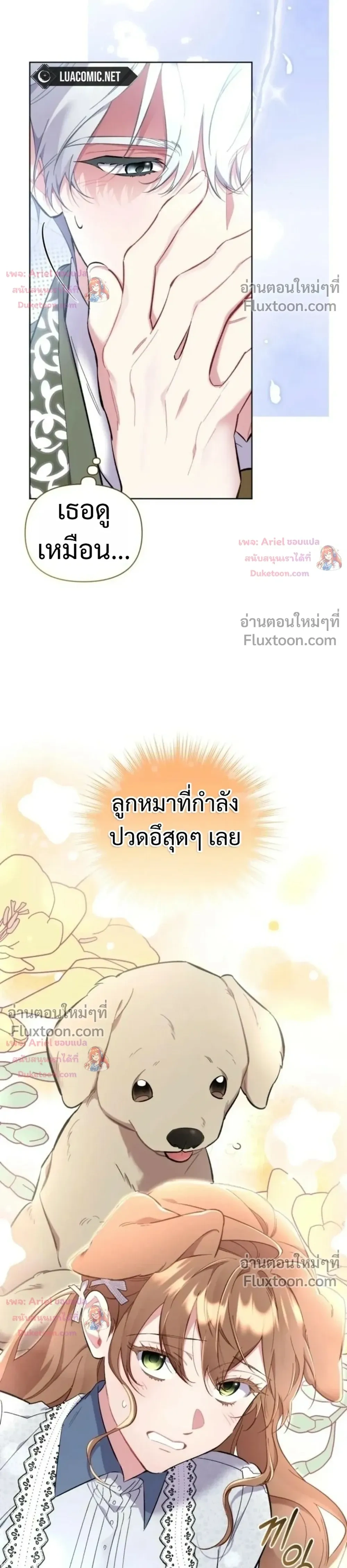 หน้าที่ 26