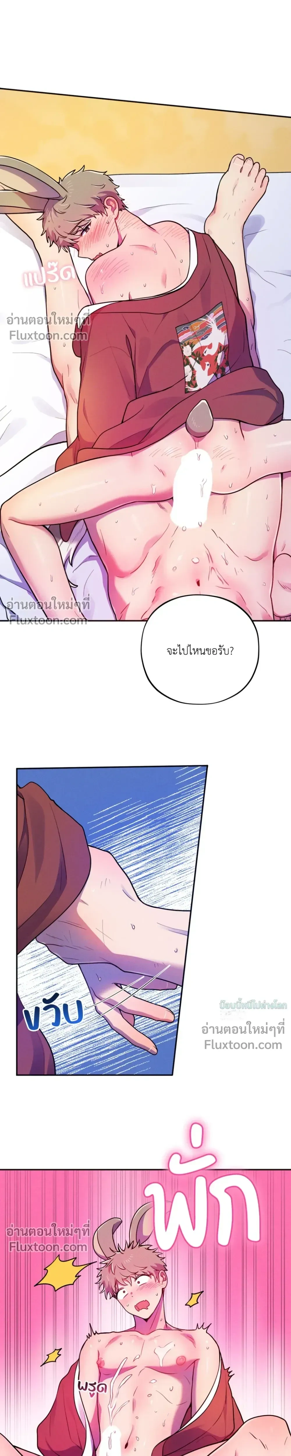 หน้าที่ 13