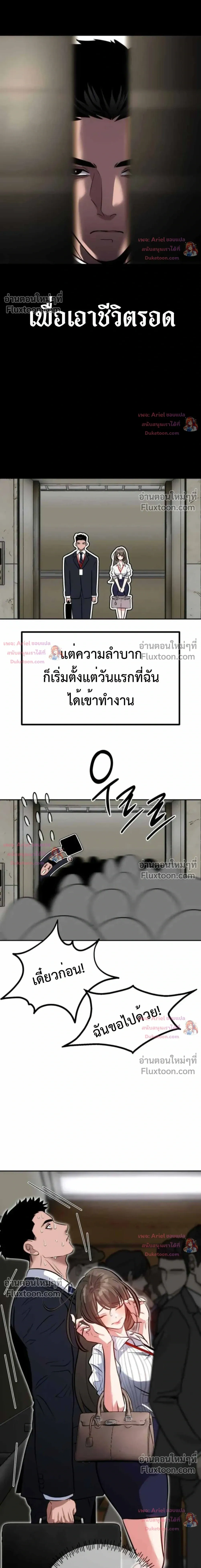 หน้าที่ 3