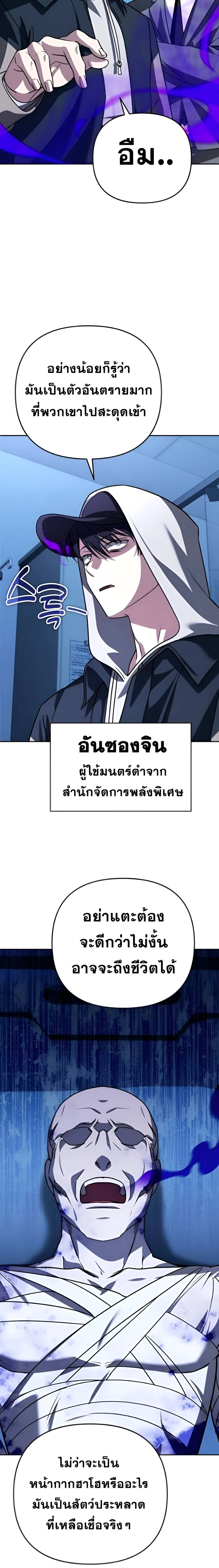 หน้าที่ 30