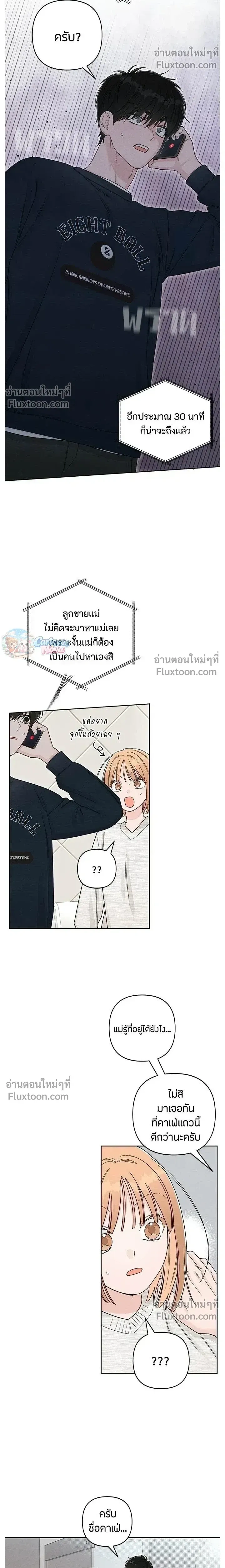 หน้าที่ 13
