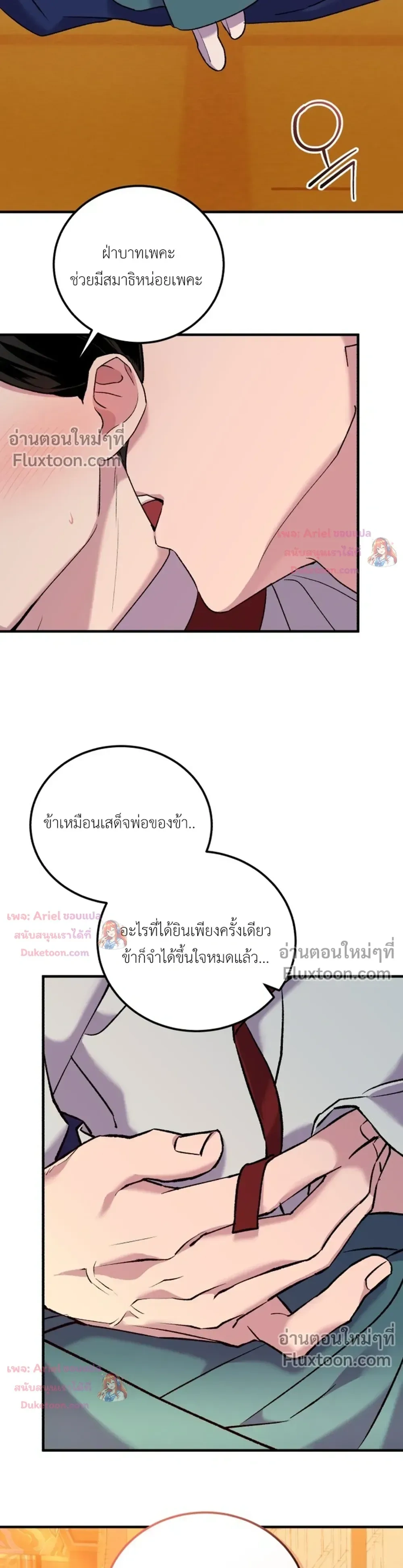 หน้าที่ 13
