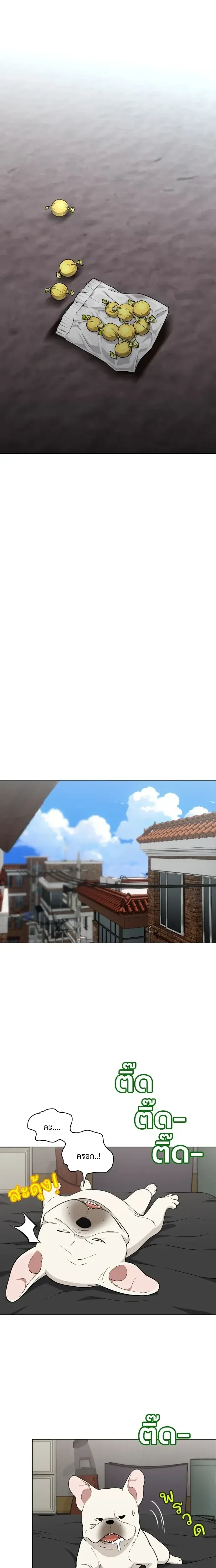 หน้าที่ 22