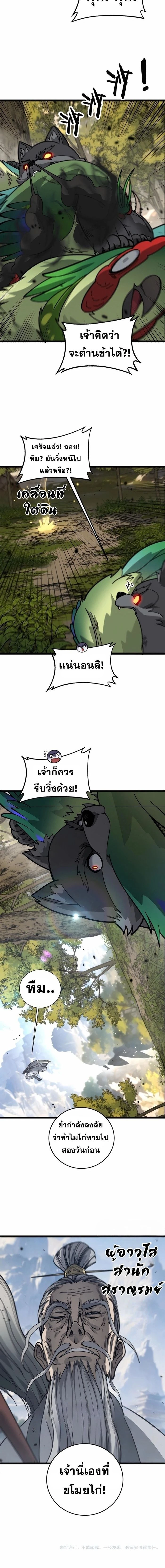 หน้าที่ 11