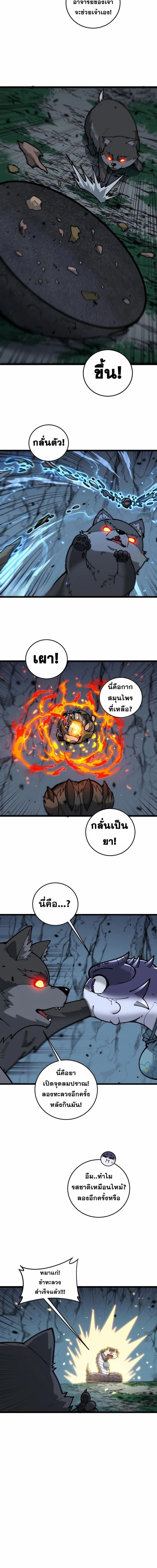 หน้าที่ 8