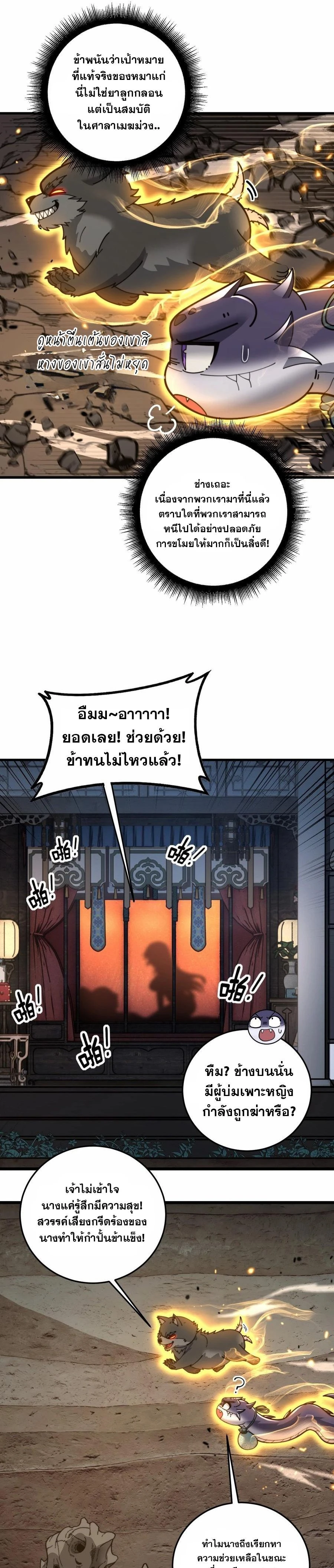 หน้าที่ 11