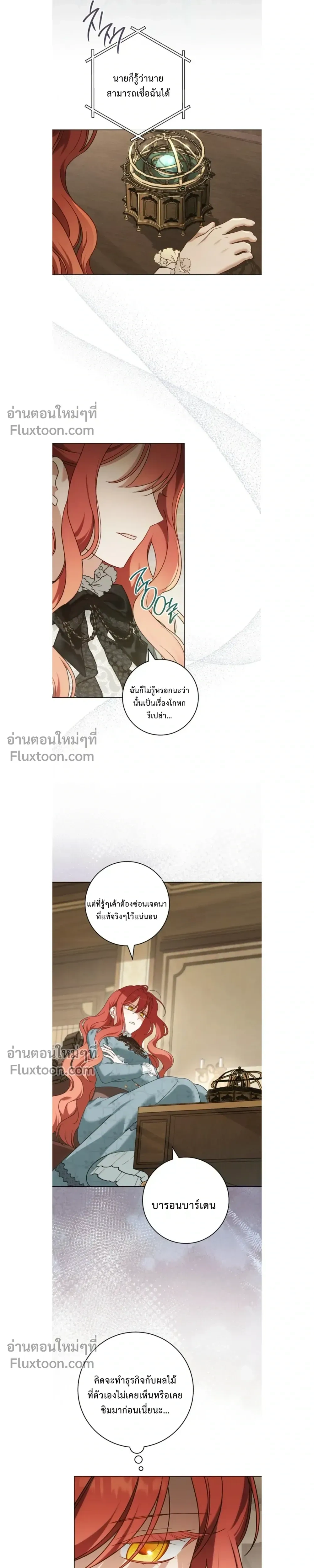 หน้าที่ 17