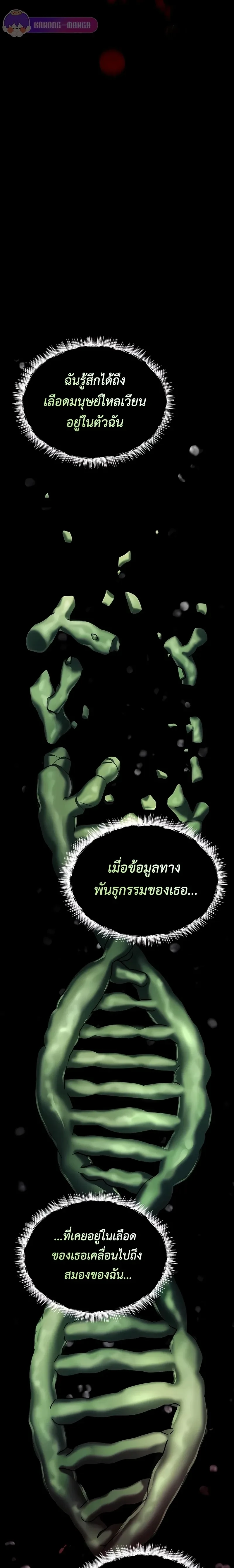 หน้าที่ 31