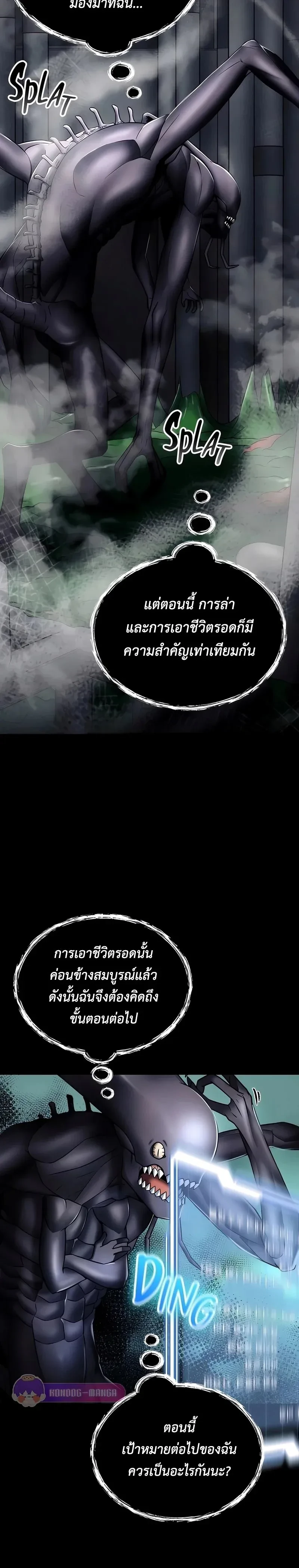 หน้าที่ 3