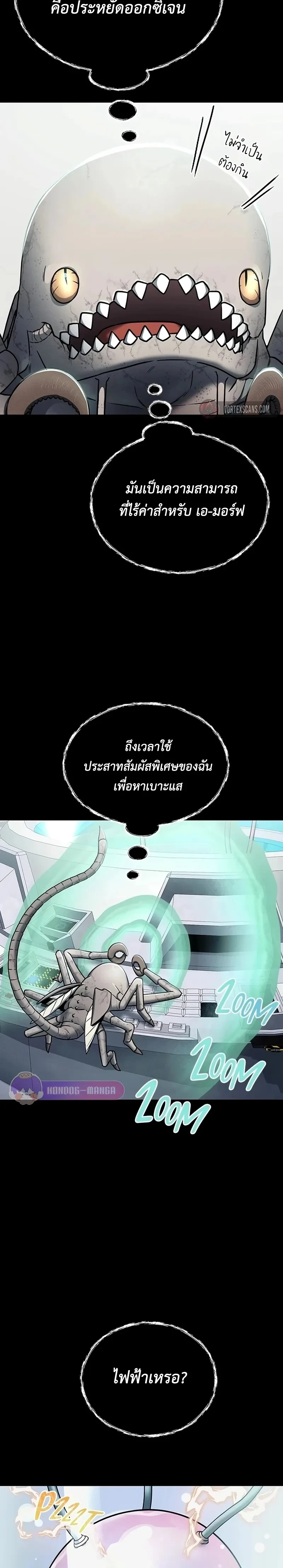 หน้าที่ 3