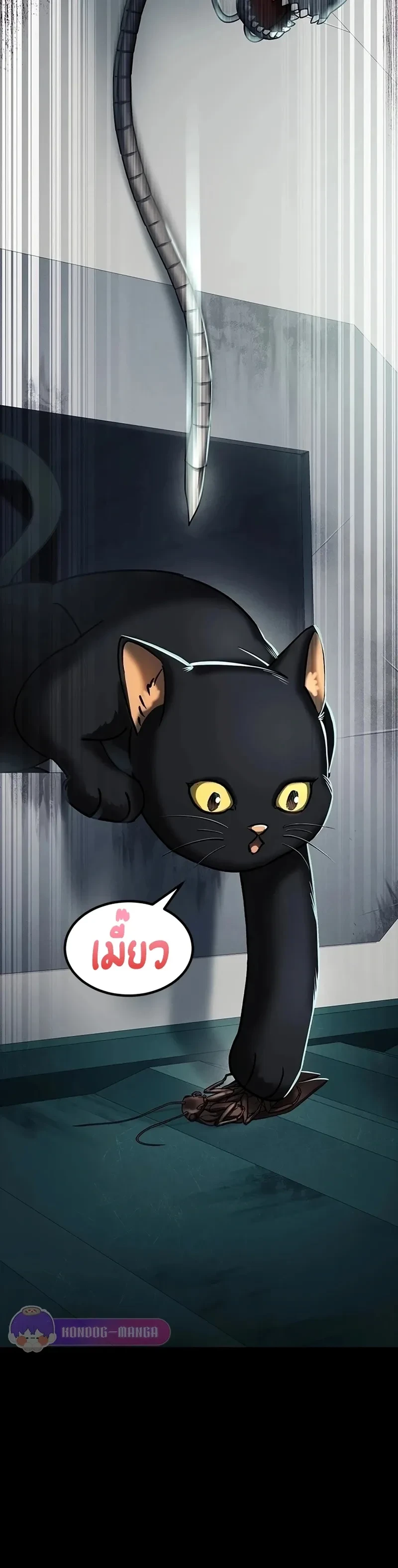 หน้าที่ 29