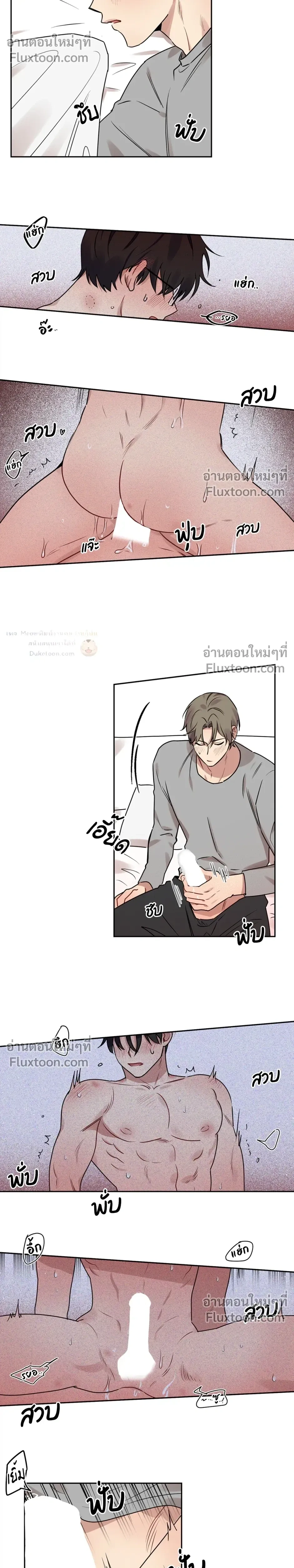 หน้าที่ 11