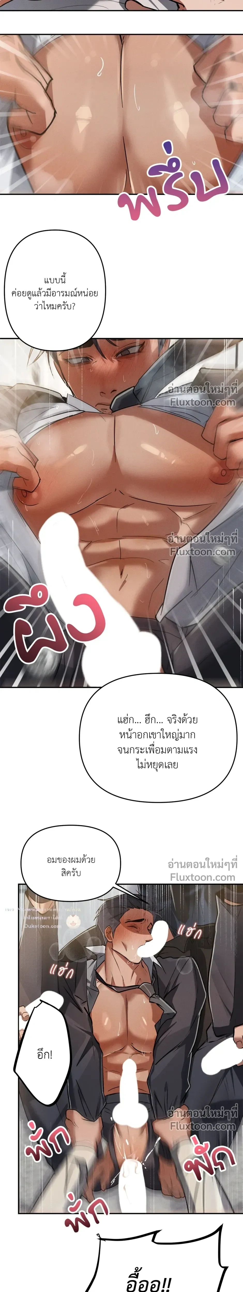 หน้าที่ 13
