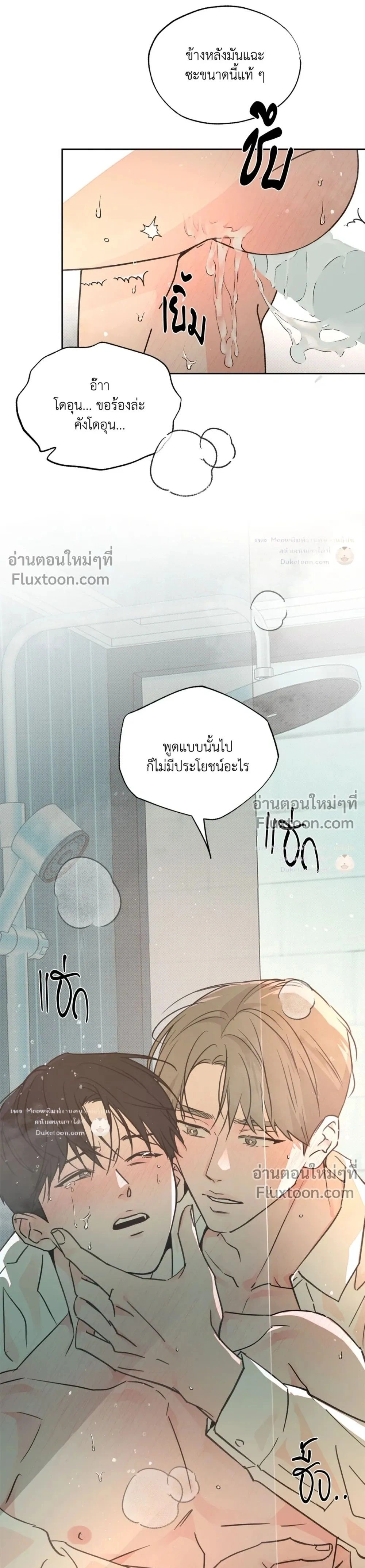 หน้าที่ 17