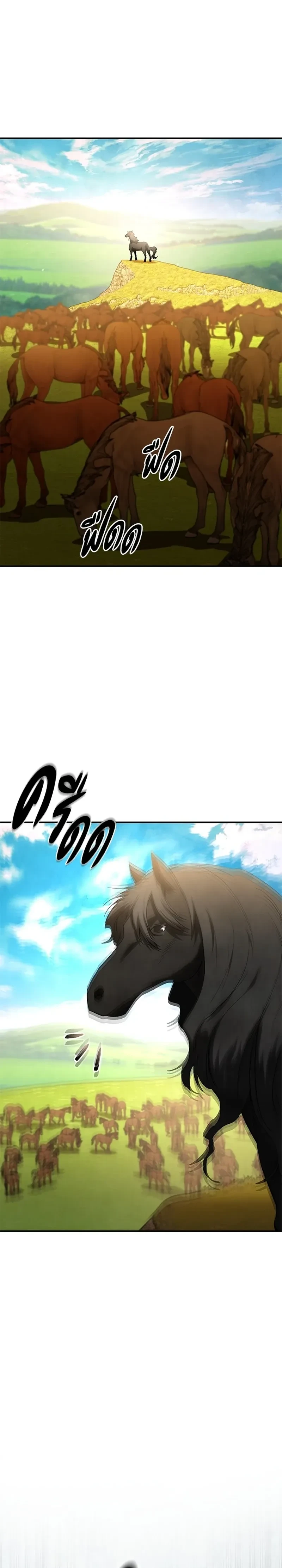 หน้าที่ 43