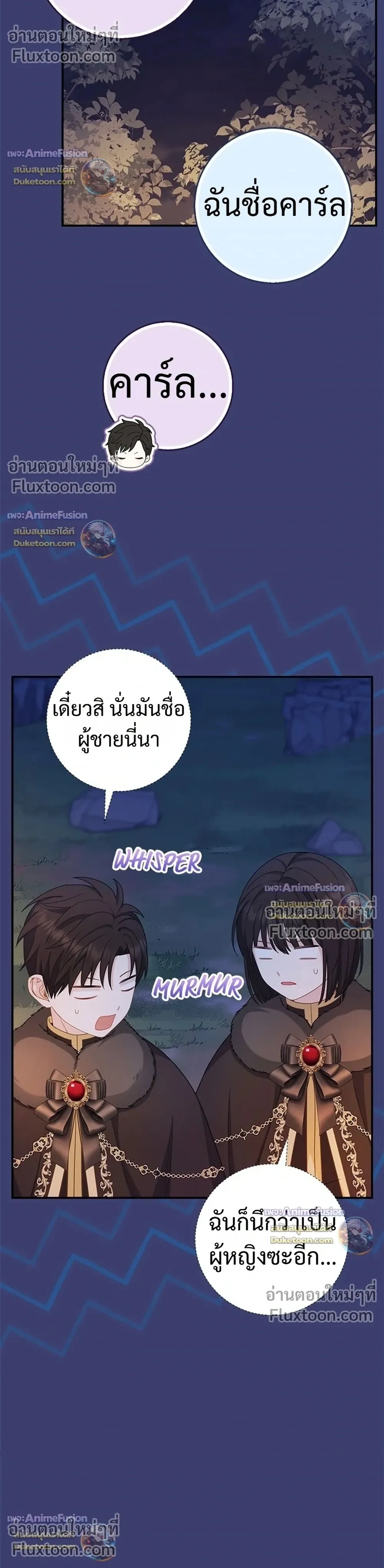 หน้าที่ 29