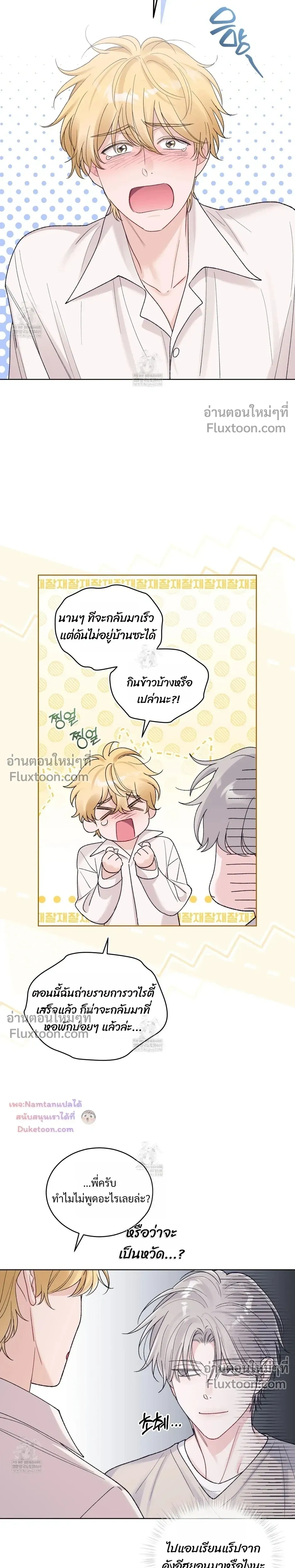 หน้าที่ 17