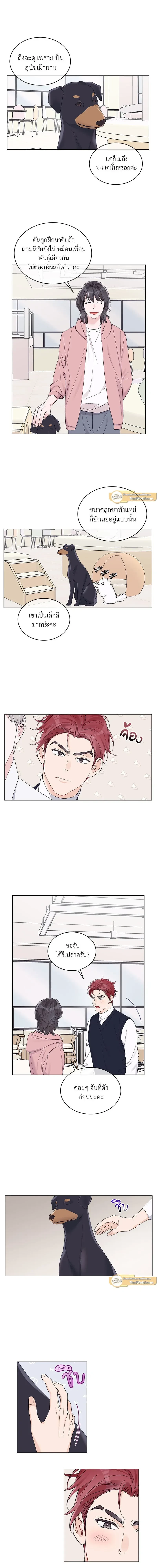 หน้าที่ 3