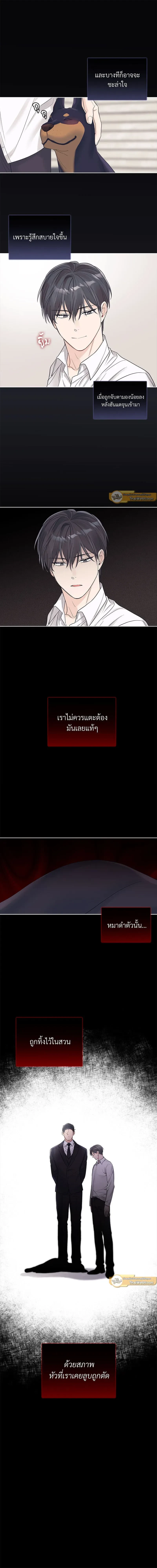 หน้าที่ 7