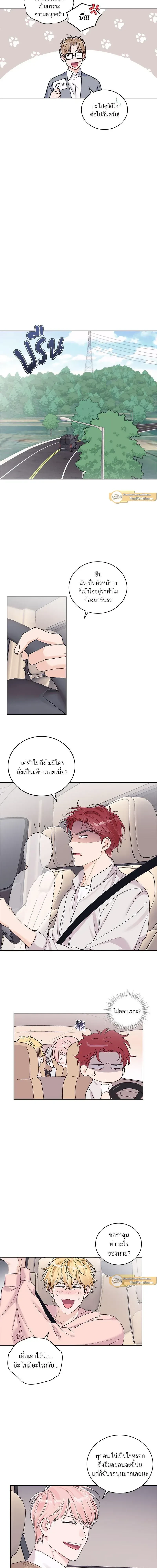 หน้าที่ 11