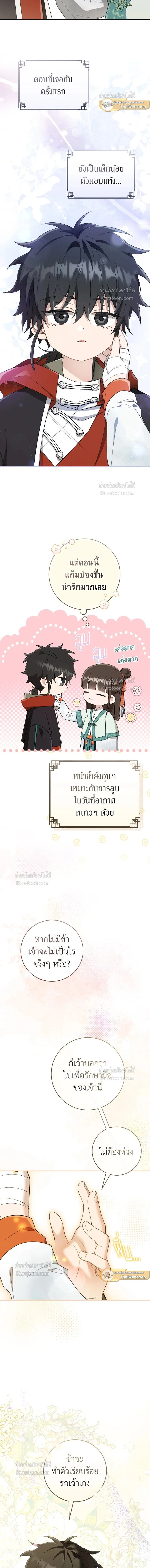 หน้าที่ 11