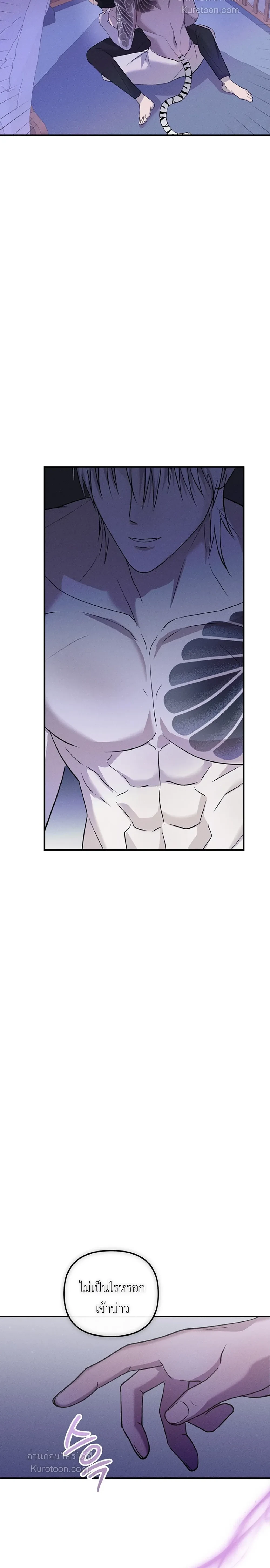 หน้าที่ 24