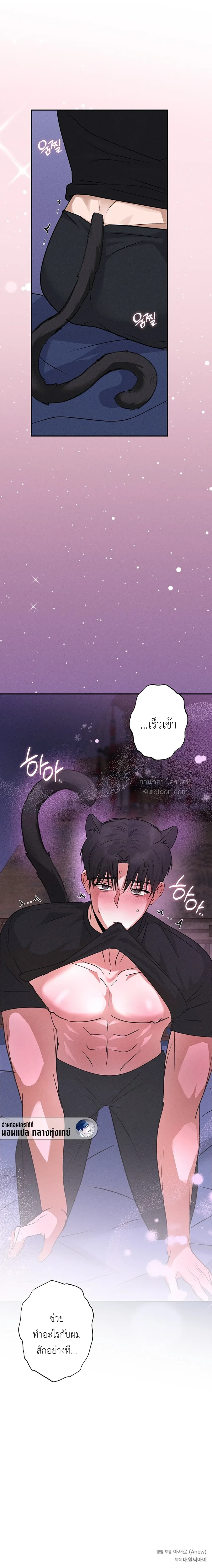หน้าที่ 31