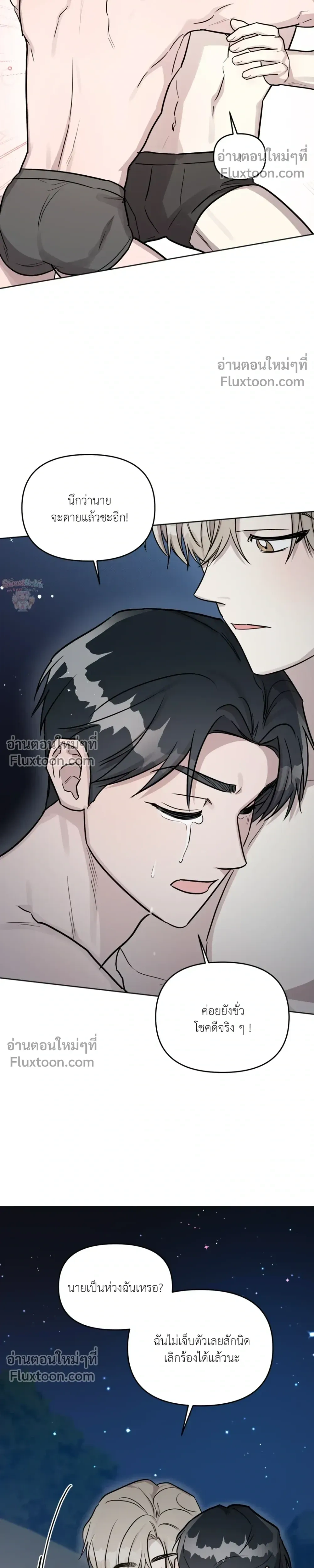 หน้าที่ 17