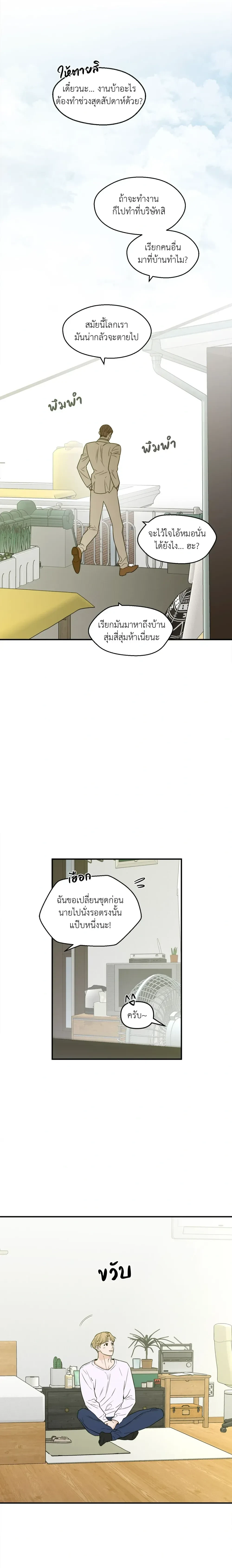 หน้าที่ 13