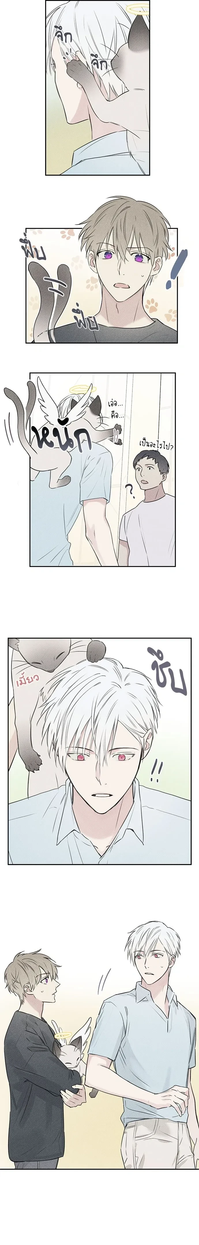 หน้าที่ 2