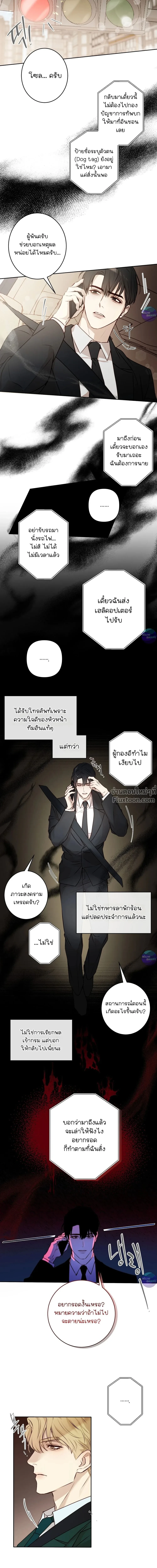 หน้าที่ 11