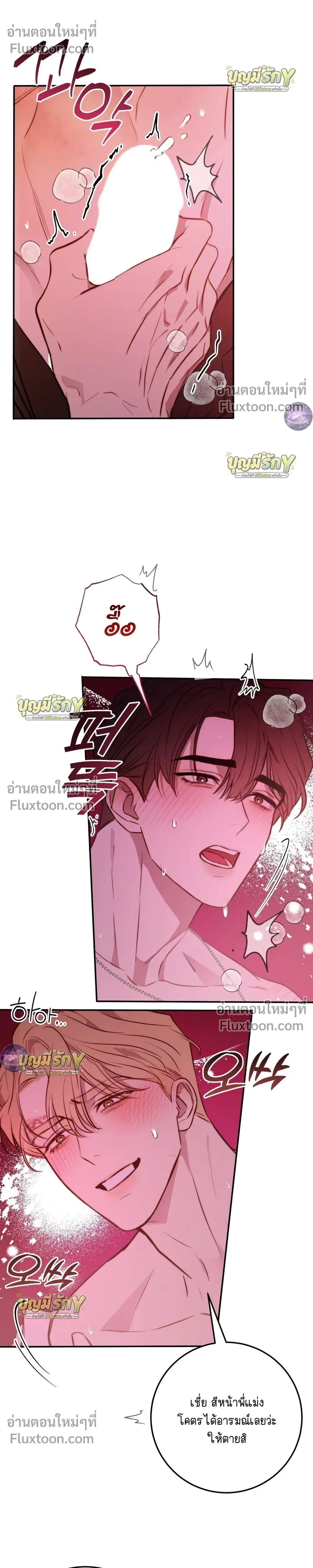 หน้าที่ 24