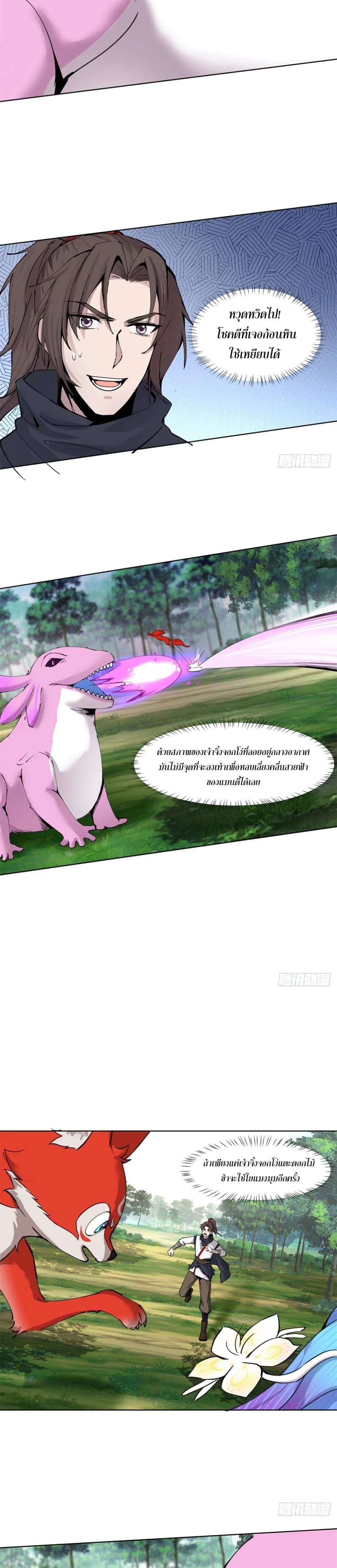 หน้าที่ 13