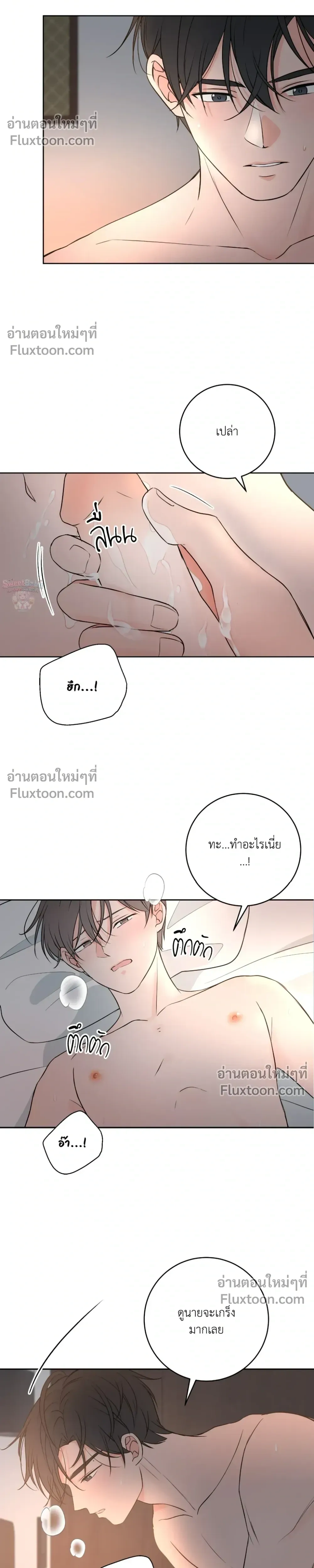 หน้าที่ 17