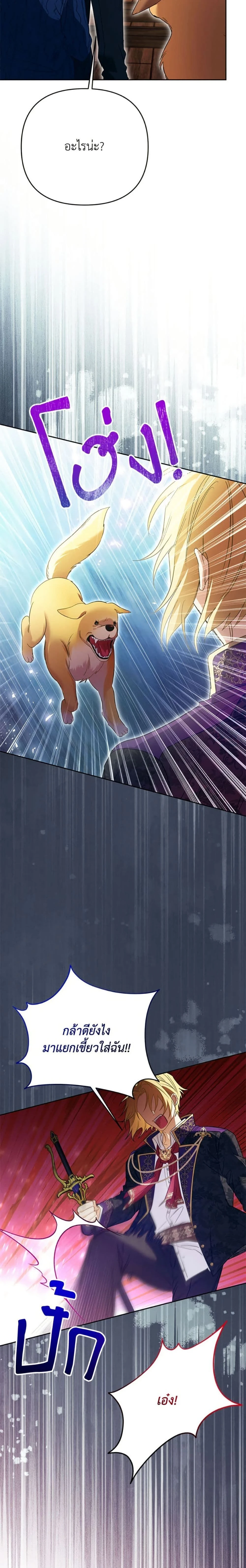 หน้าที่ 17