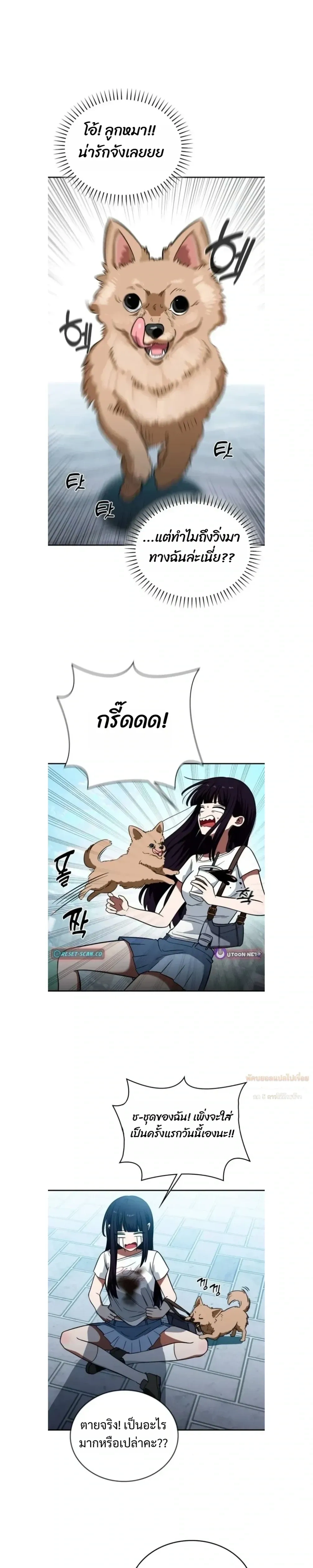 หน้าที่ 3