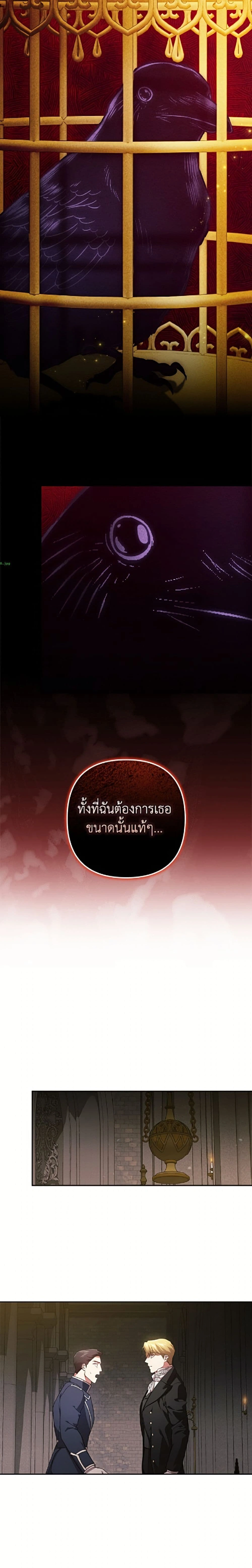 หน้าที่ 24