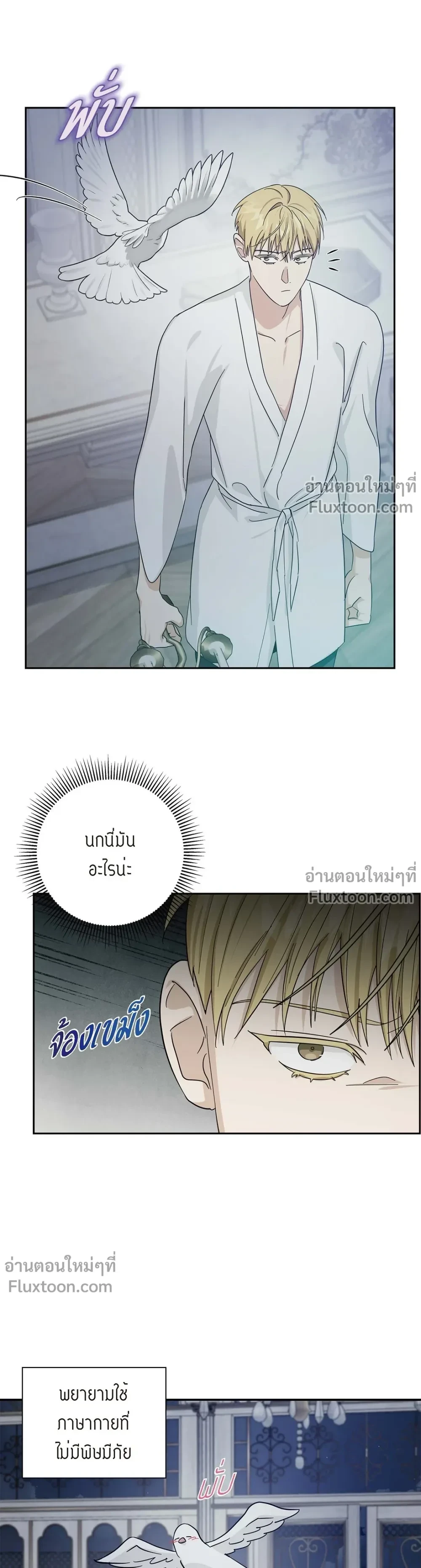 หน้าที่ 11