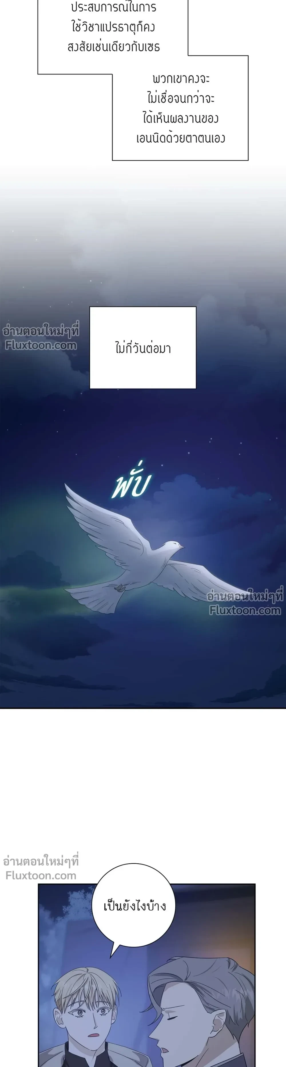 หน้าที่ 13