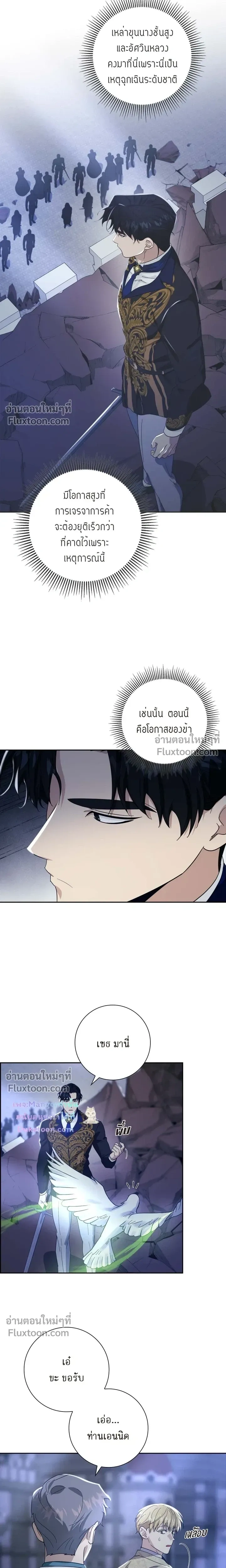 หน้าที่ 13