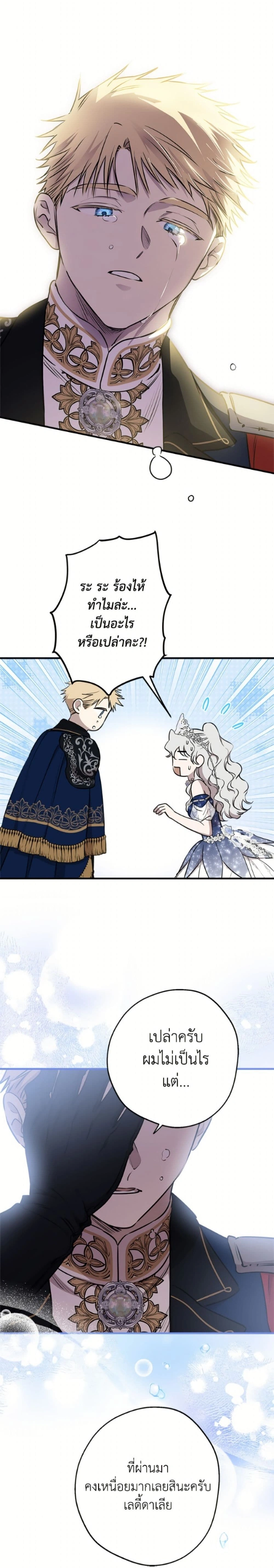 หน้าที่ 24