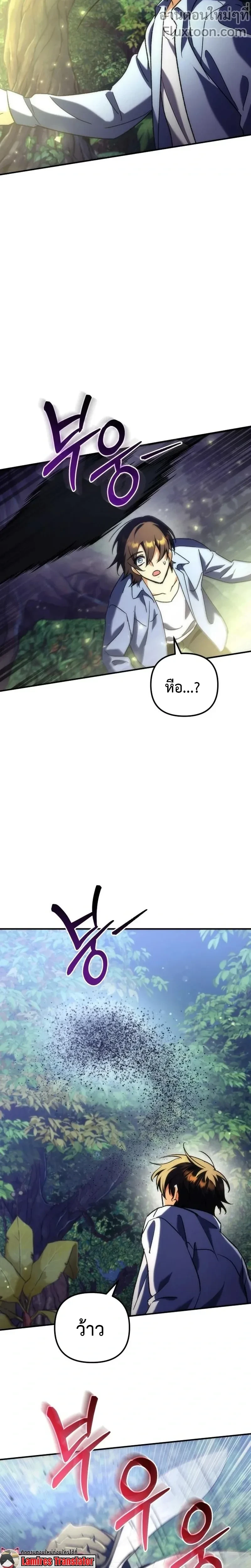 หน้าที่ 13