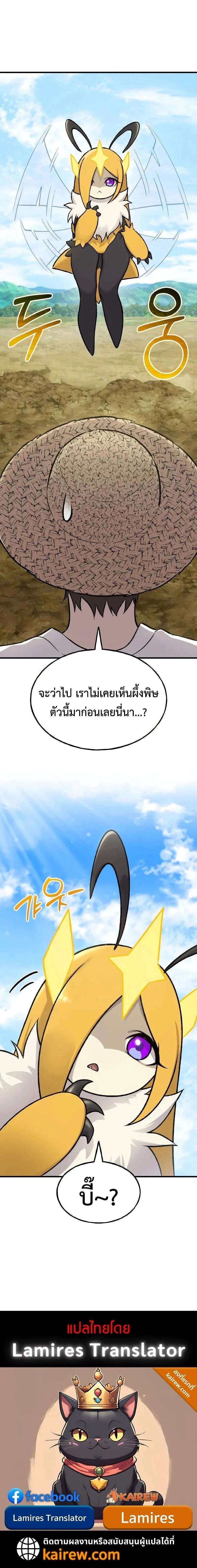 หน้าที่ 26