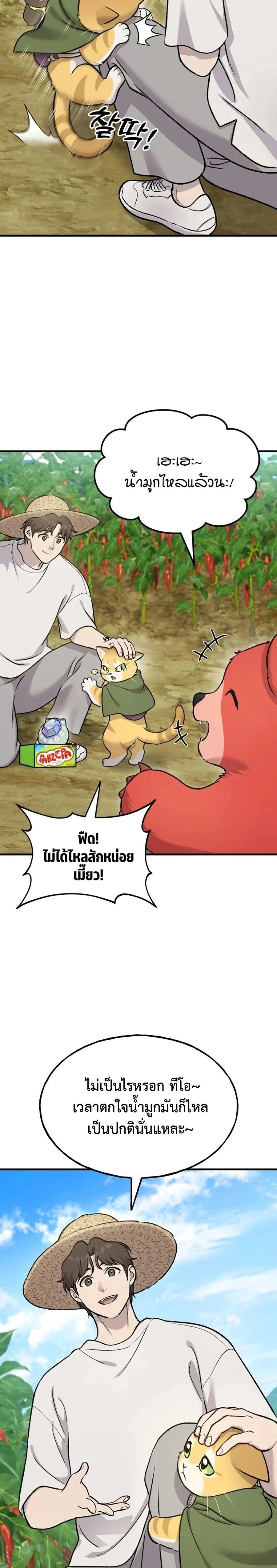 หน้าที่ 30