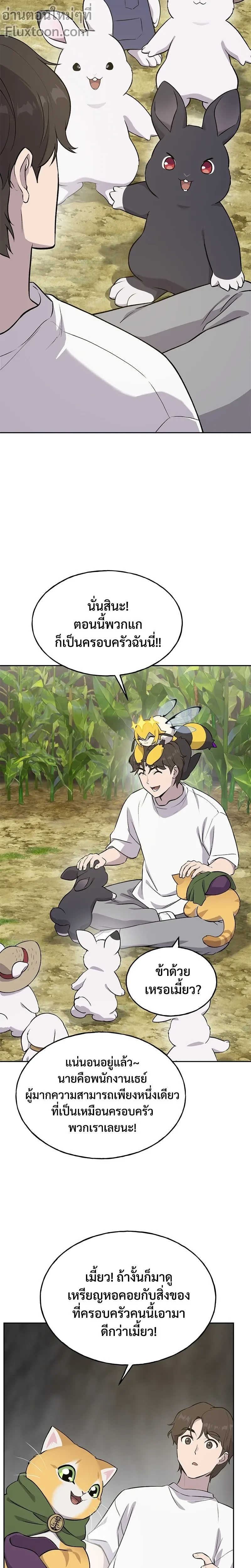 หน้าที่ 19