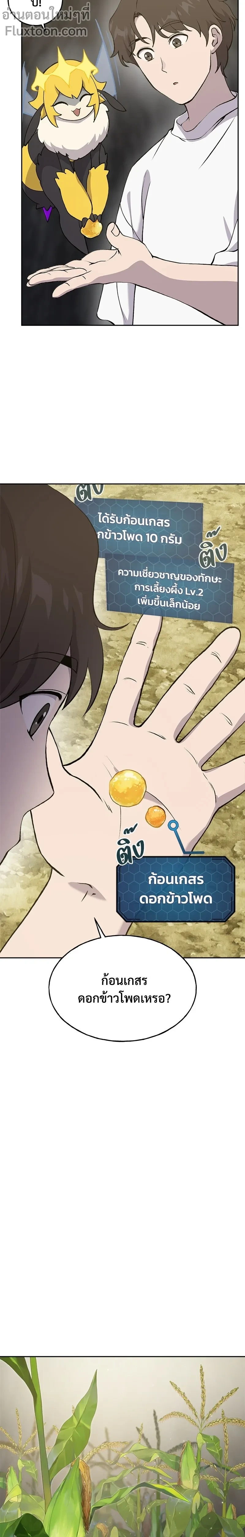 หน้าที่ 11